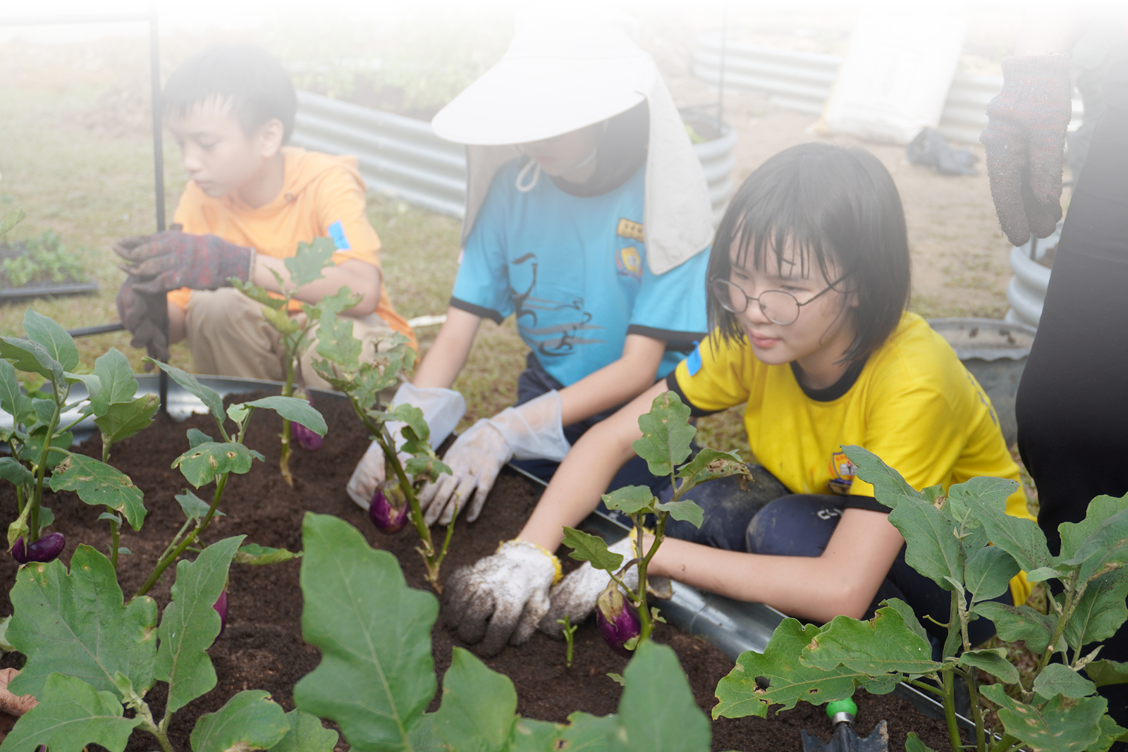 Sustainable School Garden